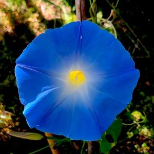 Meet your Posher, Casandra